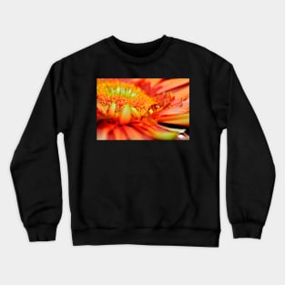 Macro photo of an Orange Gerbera with a teardrop Crewneck Sweatshirt